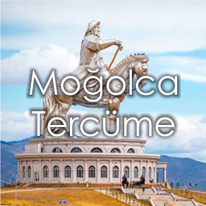 Moolca Tercme